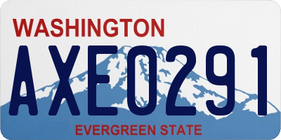 WA license plate AXE0291