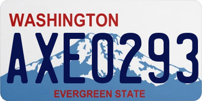 WA license plate AXE0293