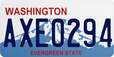 WA license plate AXE0294