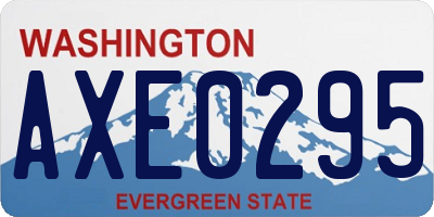 WA license plate AXE0295