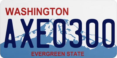 WA license plate AXE0300