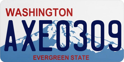 WA license plate AXE0309