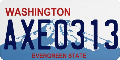 WA license plate AXE0313