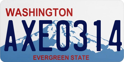 WA license plate AXE0314