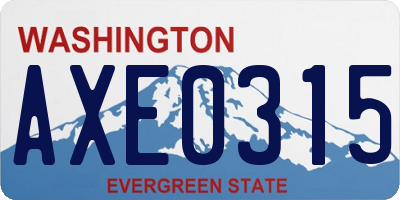 WA license plate AXE0315