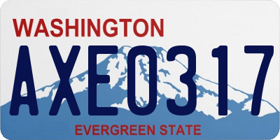 WA license plate AXE0317