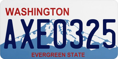 WA license plate AXE0325