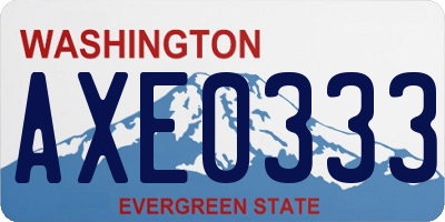 WA license plate AXE0333
