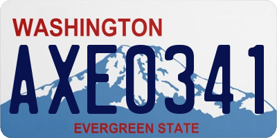 WA license plate AXE0341