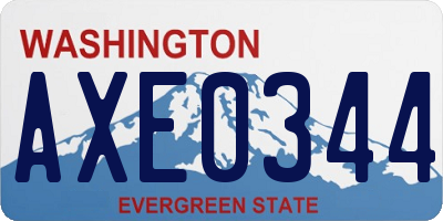WA license plate AXE0344