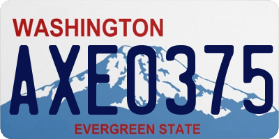 WA license plate AXE0375