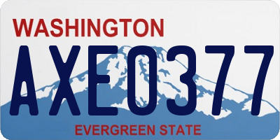 WA license plate AXE0377