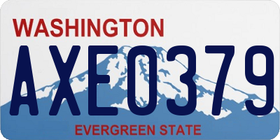 WA license plate AXE0379