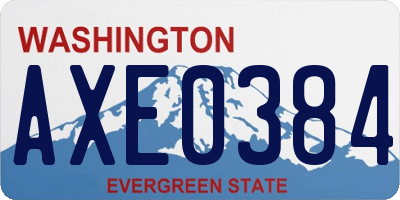 WA license plate AXE0384