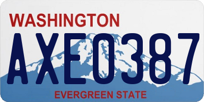WA license plate AXE0387