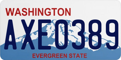 WA license plate AXE0389