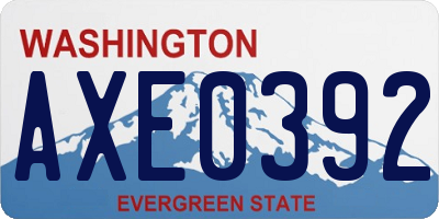 WA license plate AXE0392