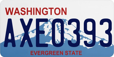 WA license plate AXE0393