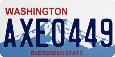 WA license plate AXE0449