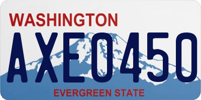WA license plate AXE0450