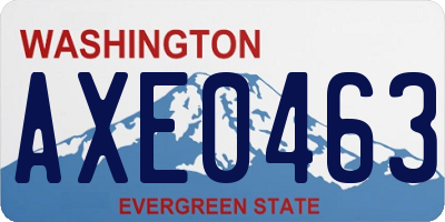 WA license plate AXE0463