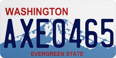 WA license plate AXE0465