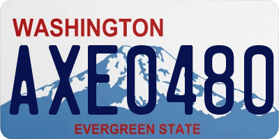 WA license plate AXE0480
