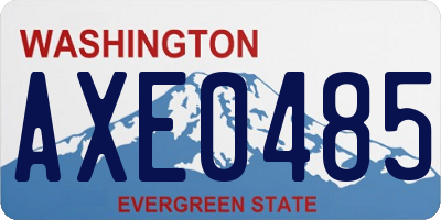 WA license plate AXE0485