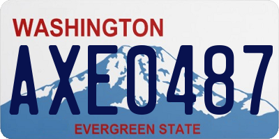 WA license plate AXE0487