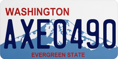WA license plate AXE0490