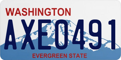 WA license plate AXE0491