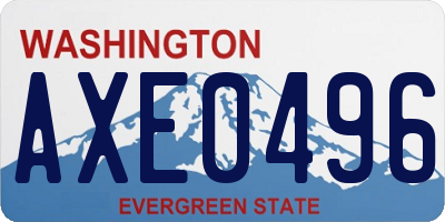 WA license plate AXE0496