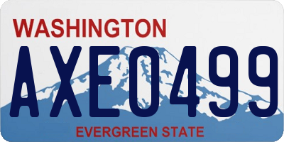 WA license plate AXE0499