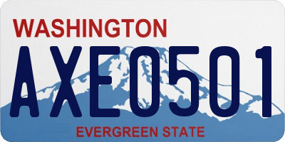WA license plate AXE0501