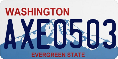 WA license plate AXE0503