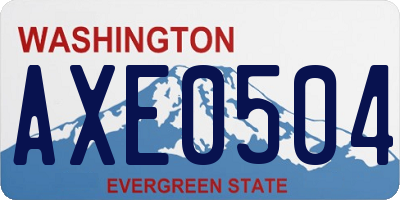 WA license plate AXE0504