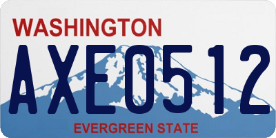WA license plate AXE0512