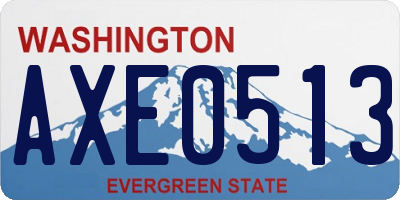 WA license plate AXE0513