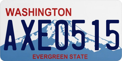 WA license plate AXE0515
