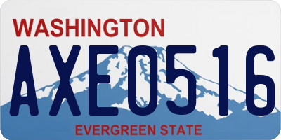 WA license plate AXE0516