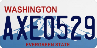 WA license plate AXE0529