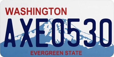 WA license plate AXE0530