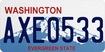 WA license plate AXE0533