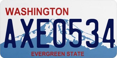 WA license plate AXE0534