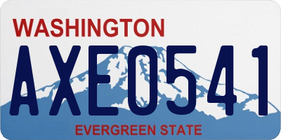 WA license plate AXE0541