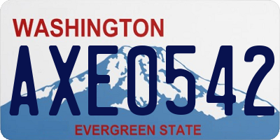 WA license plate AXE0542
