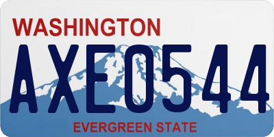 WA license plate AXE0544