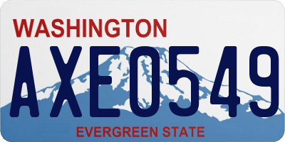 WA license plate AXE0549