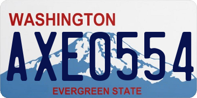 WA license plate AXE0554