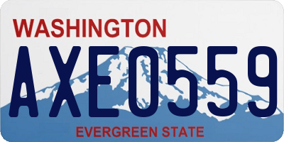 WA license plate AXE0559